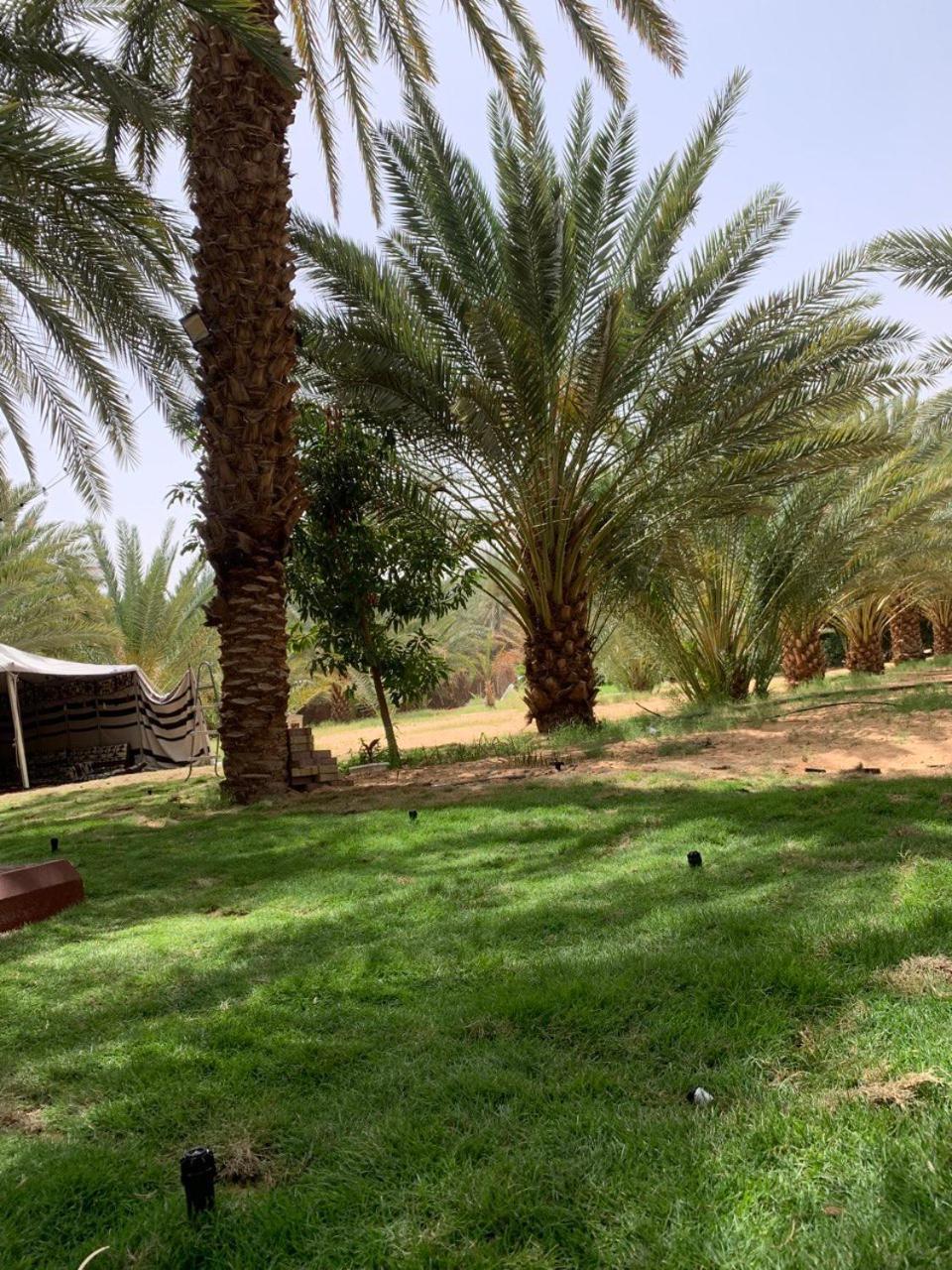 Kokh Almzraa Villa Madain Saleh Exterior photo